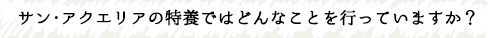 サンアクエリアの特養ではどんなことを行っていますか？